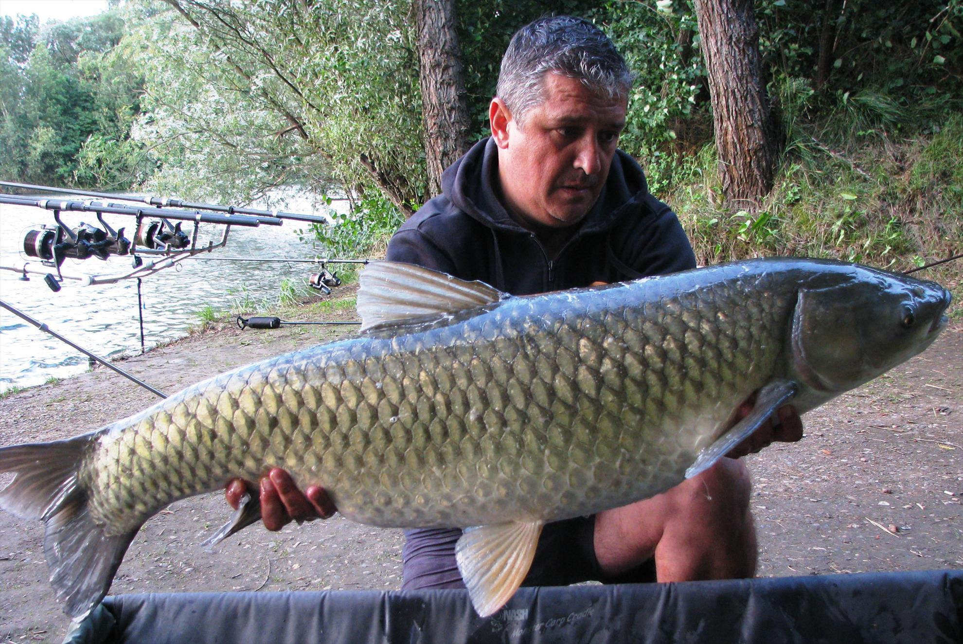 Pelagicevo Jezero - final iunie 2015 - img2171.JPG